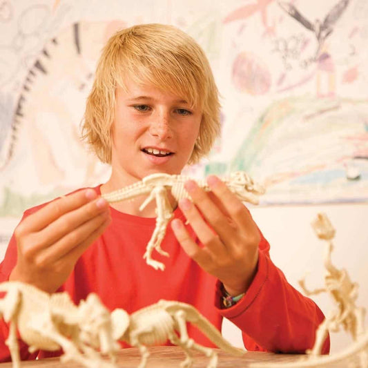 ילדים פלאונטולוגים ערכת חפירה דינואורים