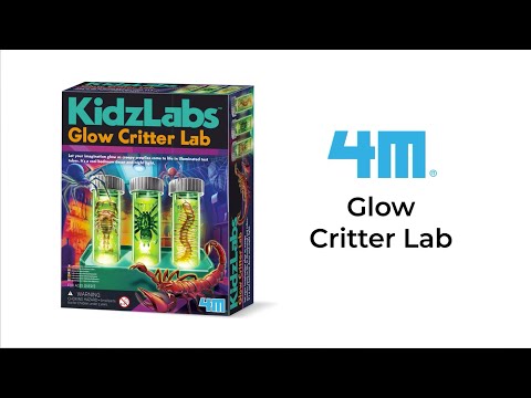 סרטון מעבדה זוהרת בה הילדים יכולים “לשמר” חרקים באופן דמיוני ולהציגם בתאורה מדעית