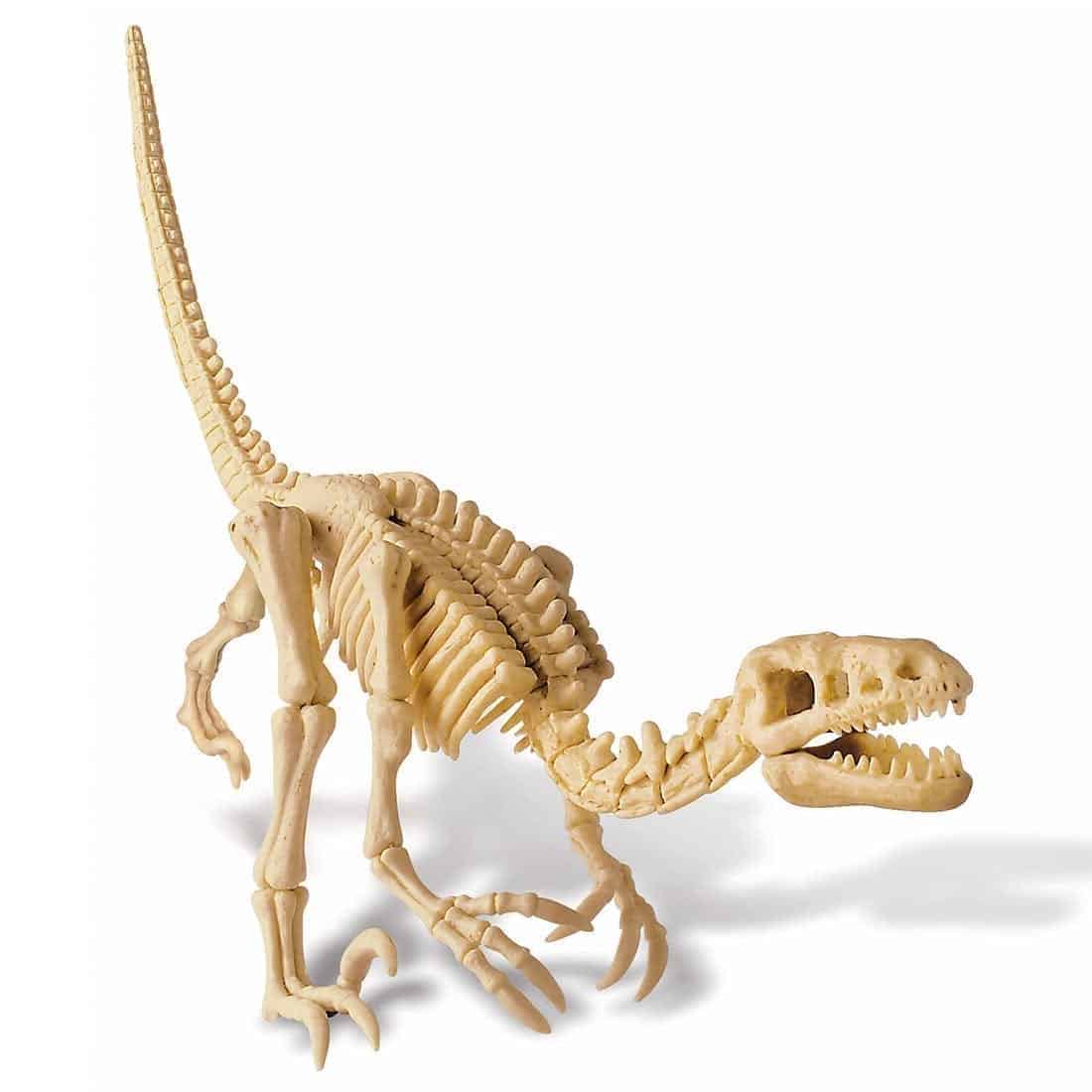 חפירת שלד דינוזאור Velociraptor, ילדים פלאונטולוגים ערכת חפירה דינואורים - 4m Kidzlabs