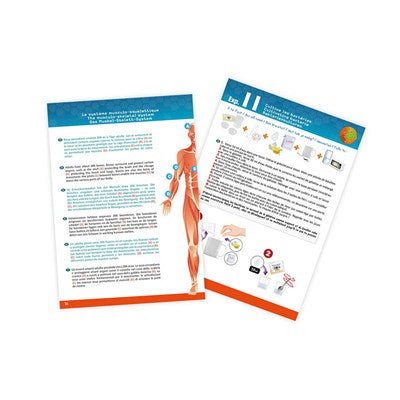 ערכת מדע לילדים גוף אנושי מבית בוקי צרפת buki france