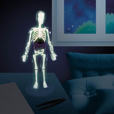 ערכת מדע לילדים גוף אנושי מבית בוקי צרפת buki france