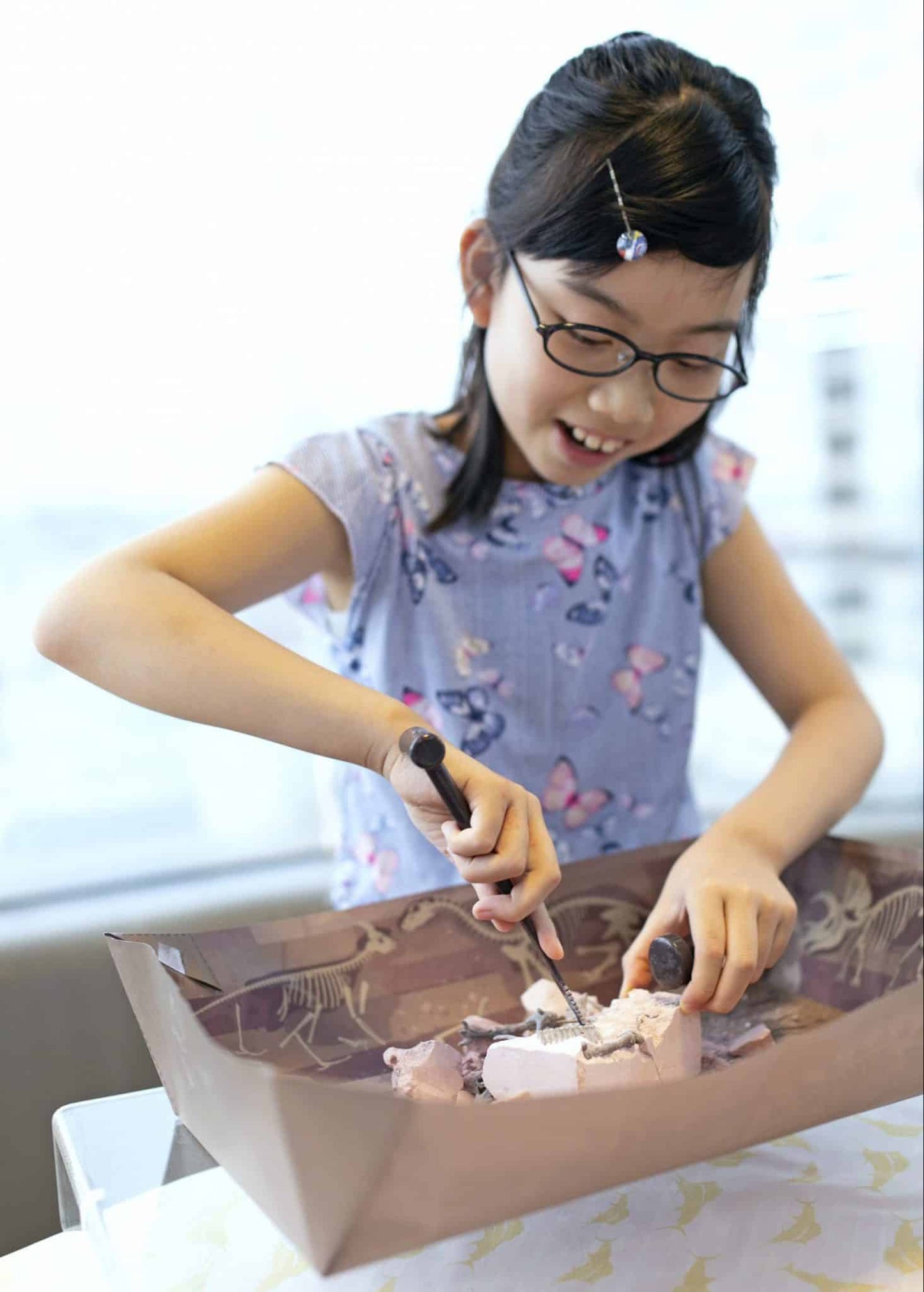 ילדים פלאונטולוגים ערכת חפירה דינואורים