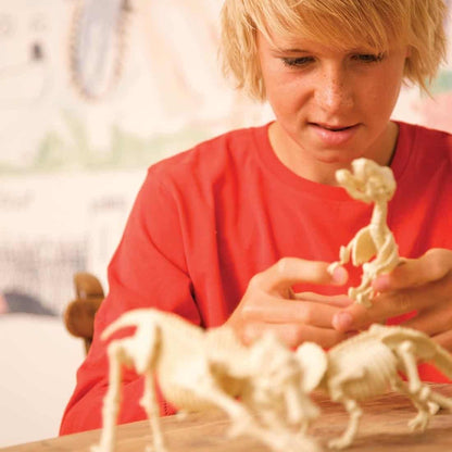 ילדים פלאונטולוגים ערכת חפירה דינואורים