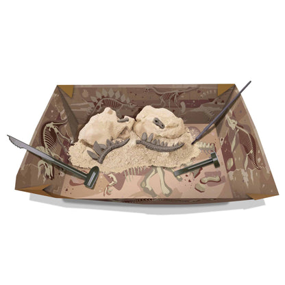 ערכת פלאונטולוגיה לילדים, חפירת שלד דינוזאור Stegosaurus - 4m