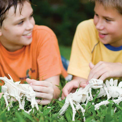 ערכת חפירה ממותה, ערכת פלאונטולוגים לילדים - 4M Kidzlabs
