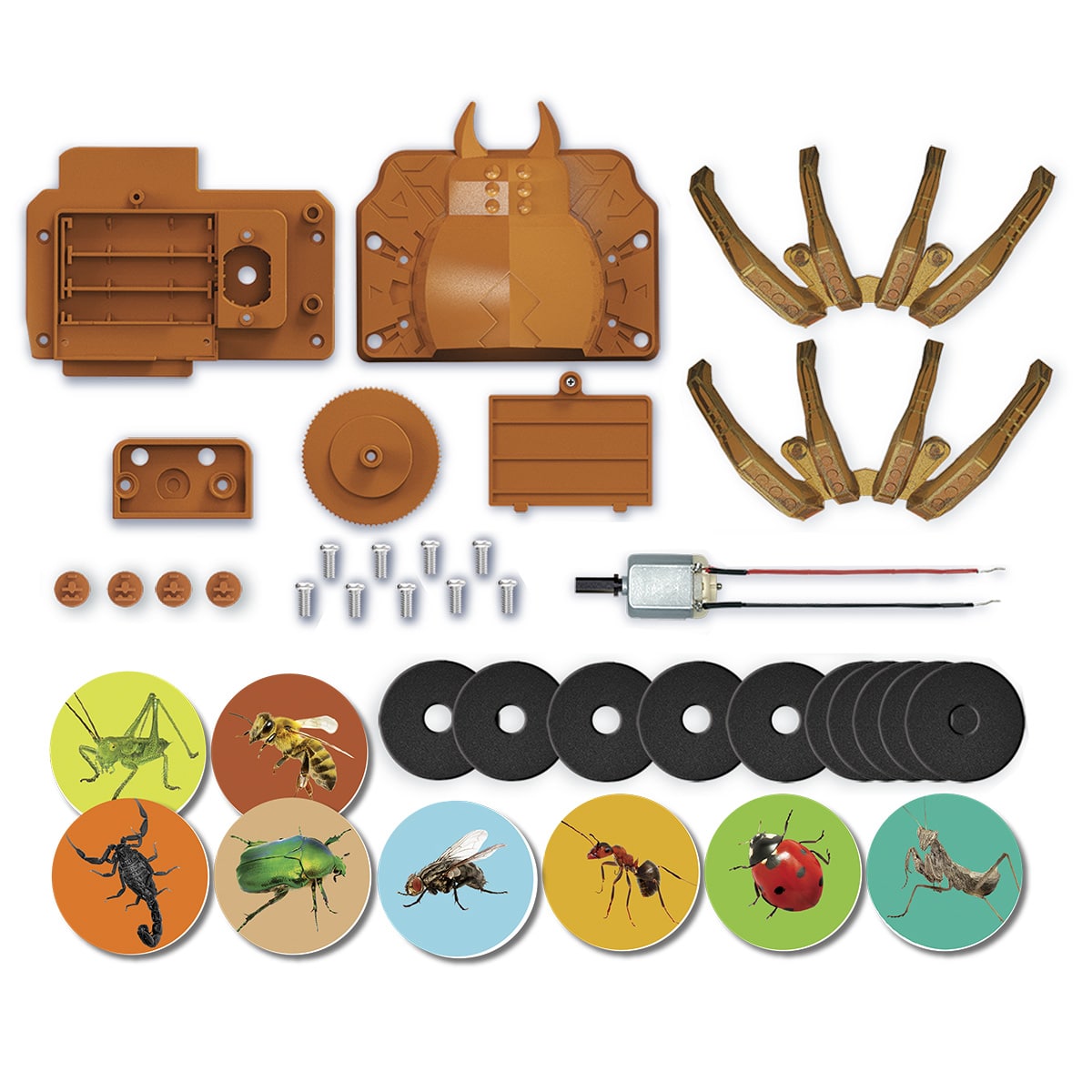 ערכת רובוטיקה לילדים, רובוט לילדים, עכביש משגר דיסקיות - 4m KidzRobotix