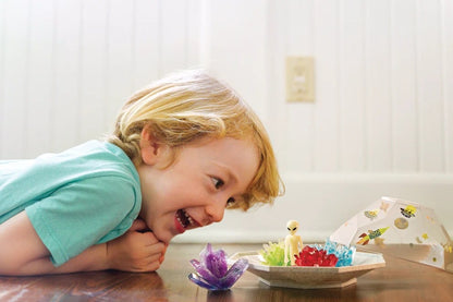 ערכת מדע לילדים, גידול גבישים, חממת קריסטל בחלל החיצון - 4m