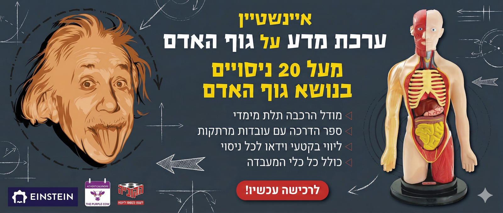 ערכת מדע גוף האדם