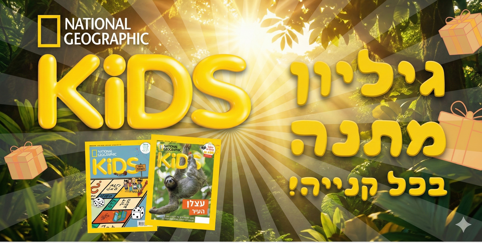 מבצעי נובמבר