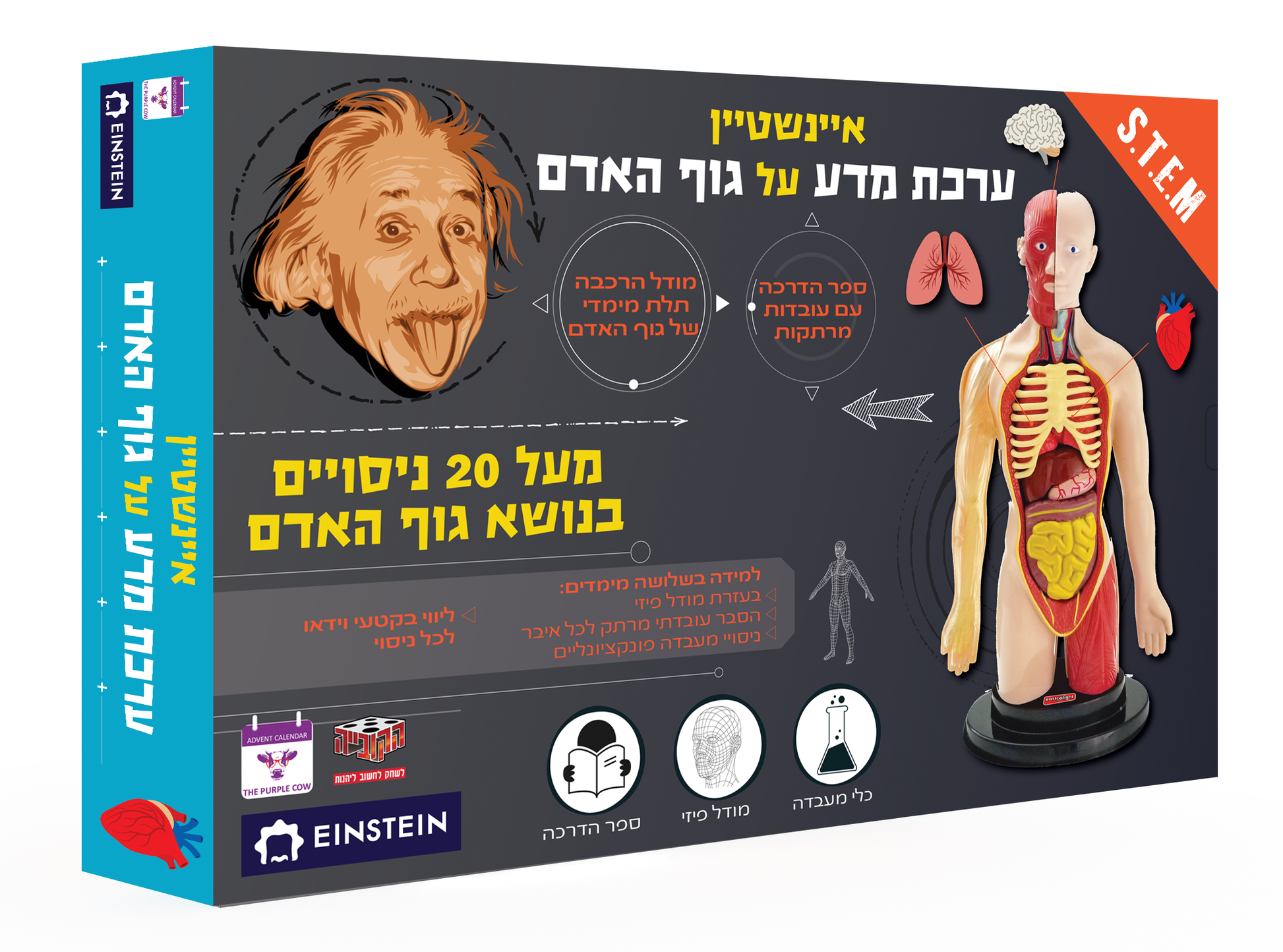 ערכת מדע לילדים, ערכת מדע איינשטיין לילדים - גוף האדם